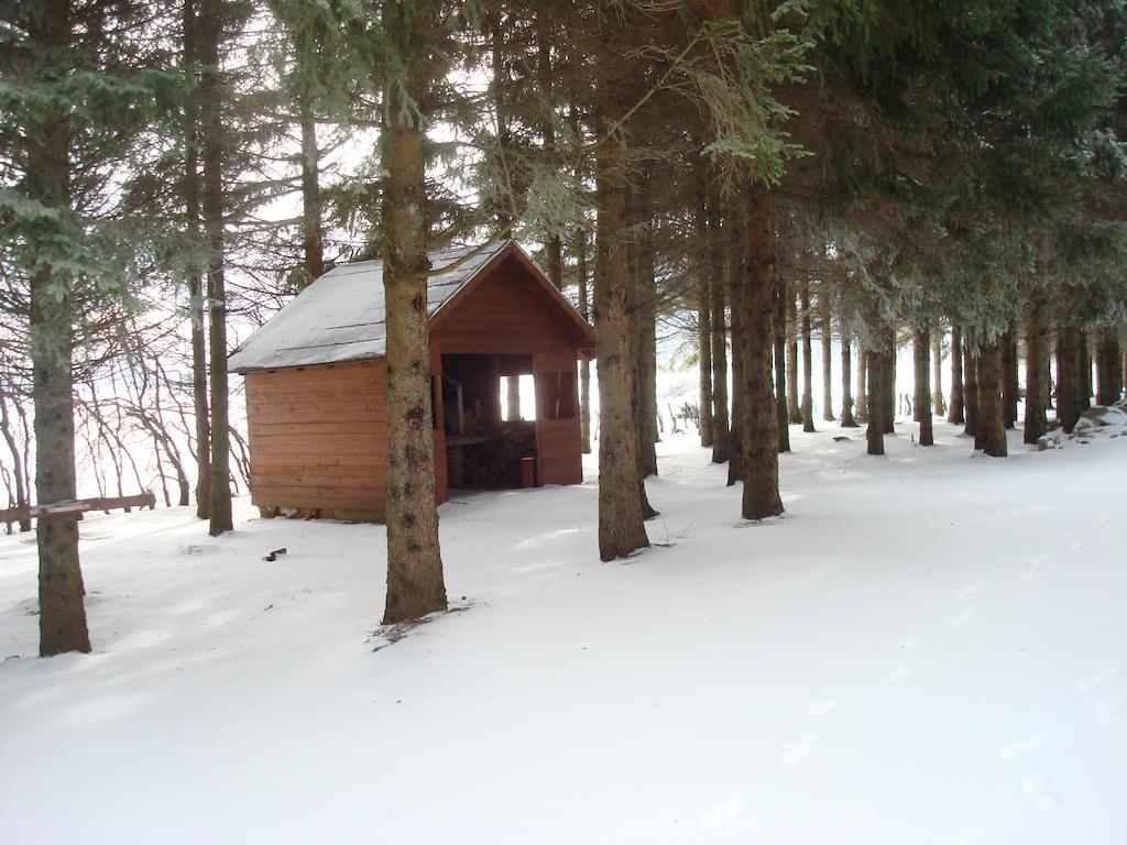 Guest House Sumski Dvor Vrhovine Exterior photo